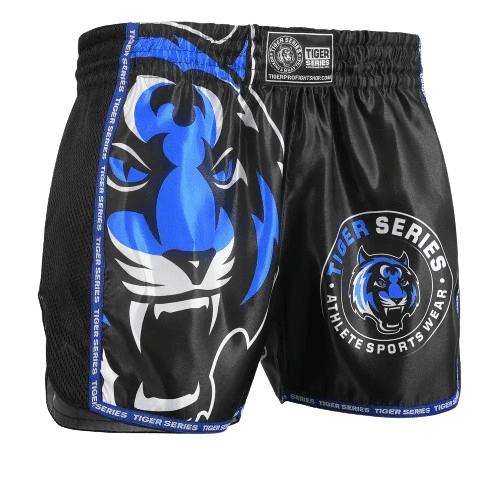 Thai Boxing Shorts image 2