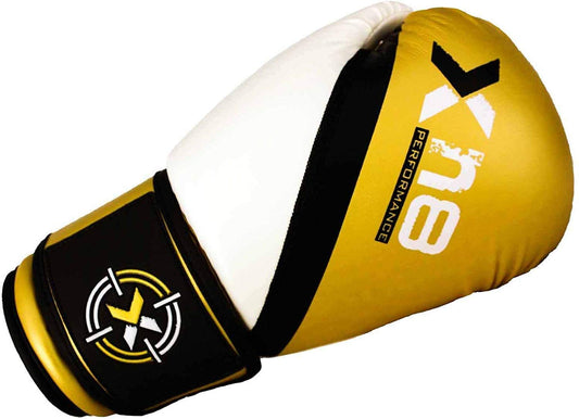 Boxing/Kickboxing Gloves14oz XN8 Gold
