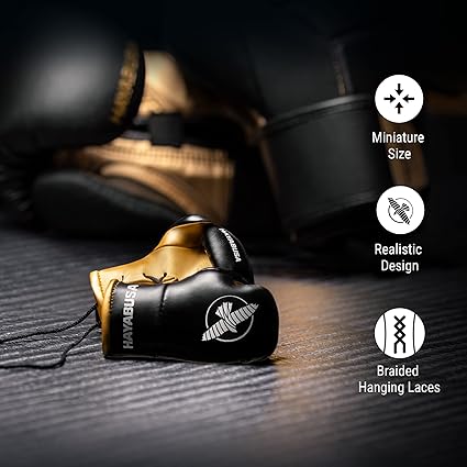 Hayabusa Mini Boxing Gloves Blk/Gold