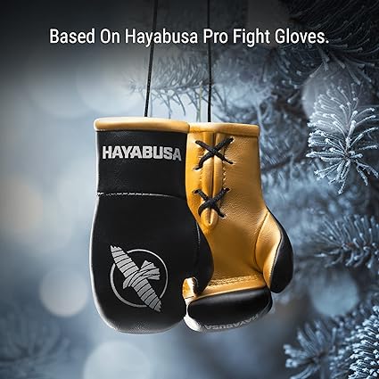 Hayabusa Mini Boxing Gloves Blk/Gold