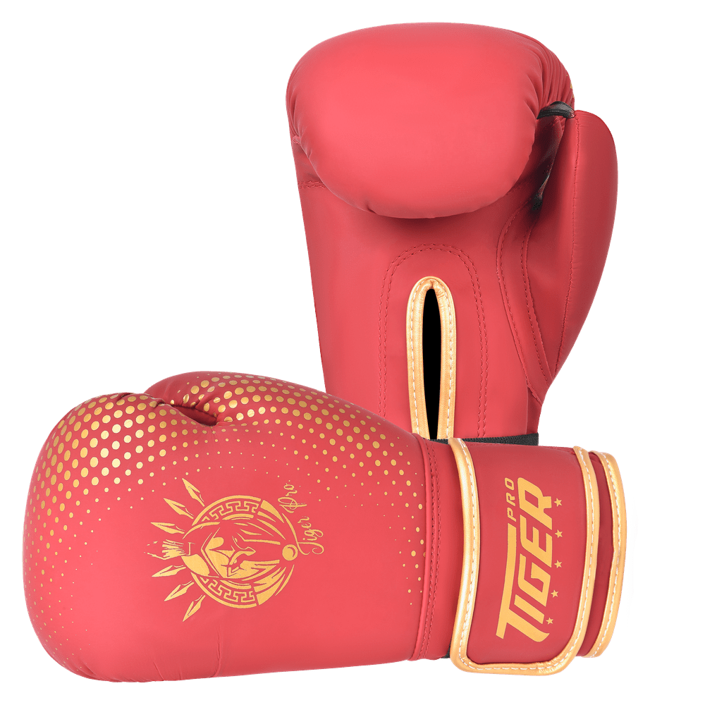 Youth Boxing Gloves