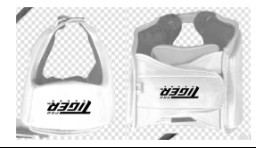 TIGER PRO White Head Gear