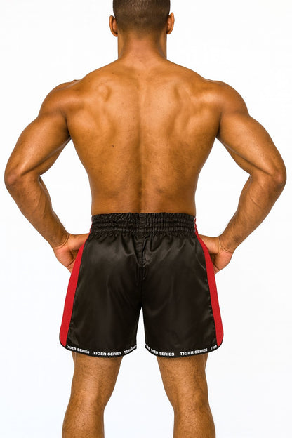 Muay Thai Boxing Shorts Scorpio