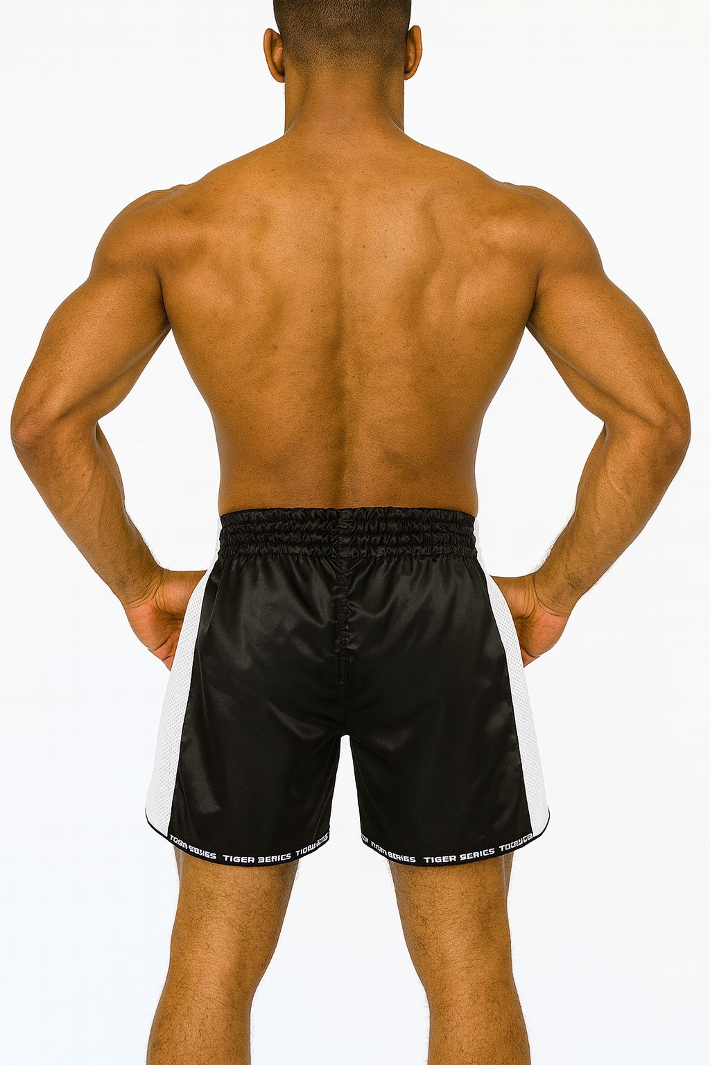 Muay Thai Boxing Shorts Scorpio