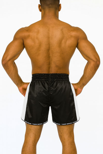 Muay Thai Boxing Shorts Scorpio