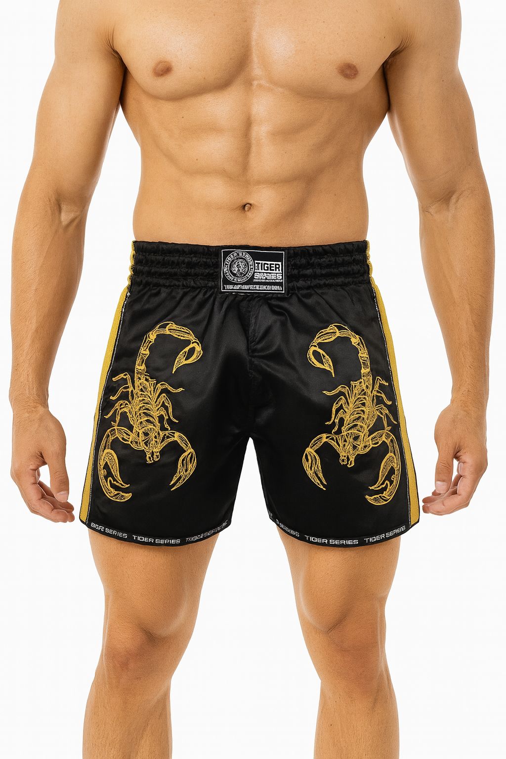 Muay Thai Boxing Shorts Scorpio