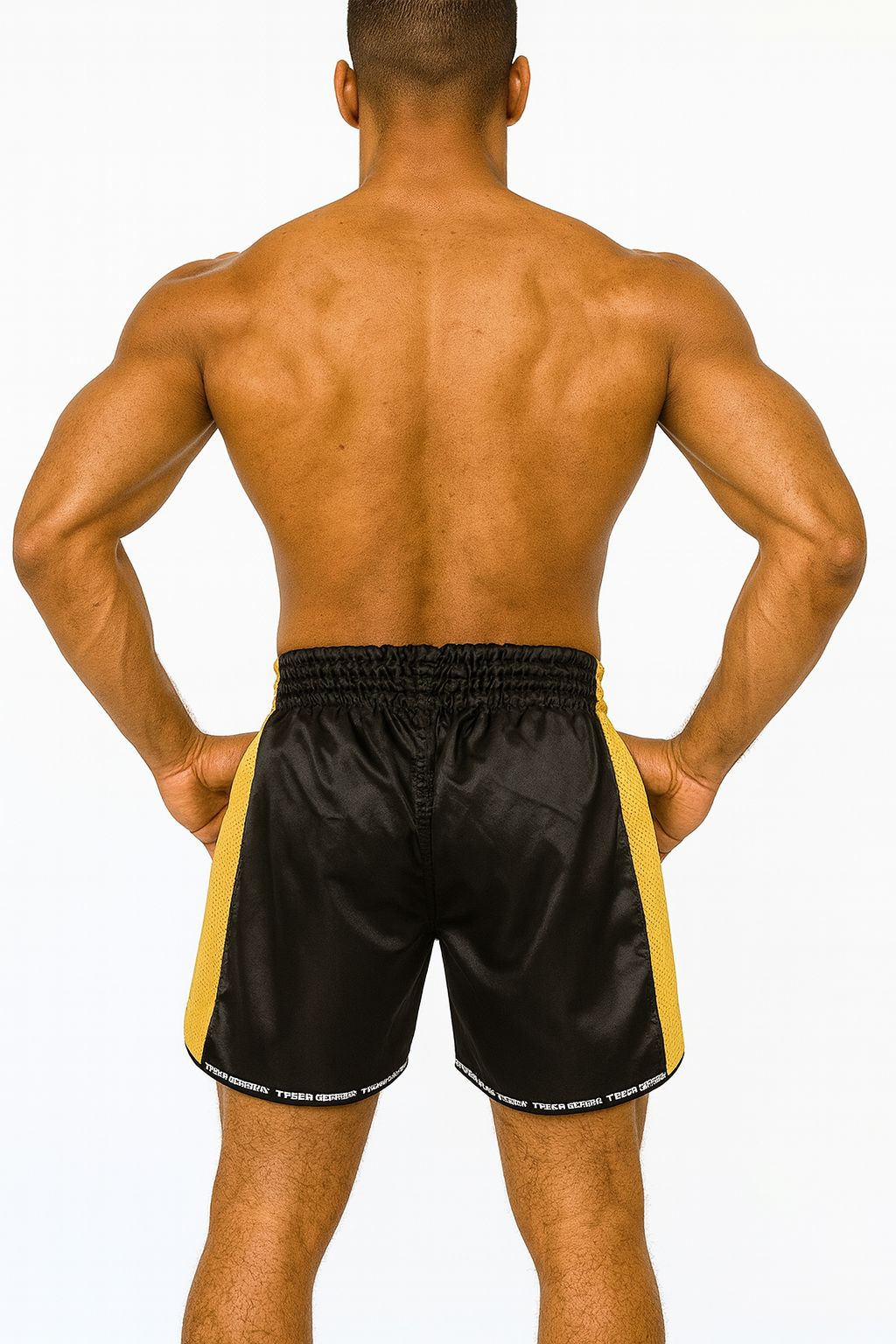 Muay Thai Boxing Shorts Scorpio