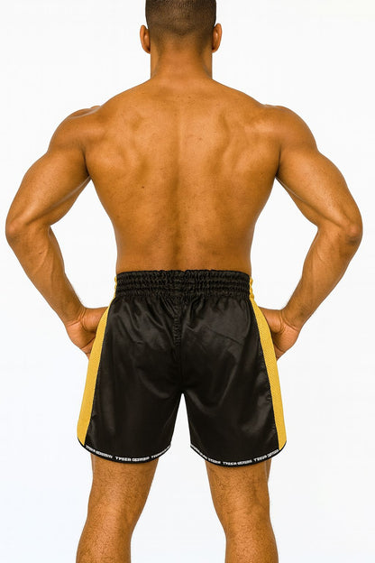 Muay Thai Boxing Shorts Scorpio