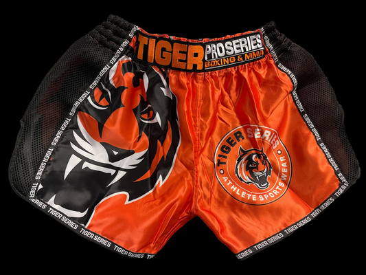 Thai Boxing Shorts image 1