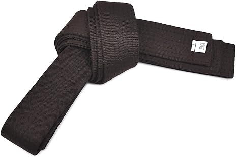 Master Karate Black Belts image 0
