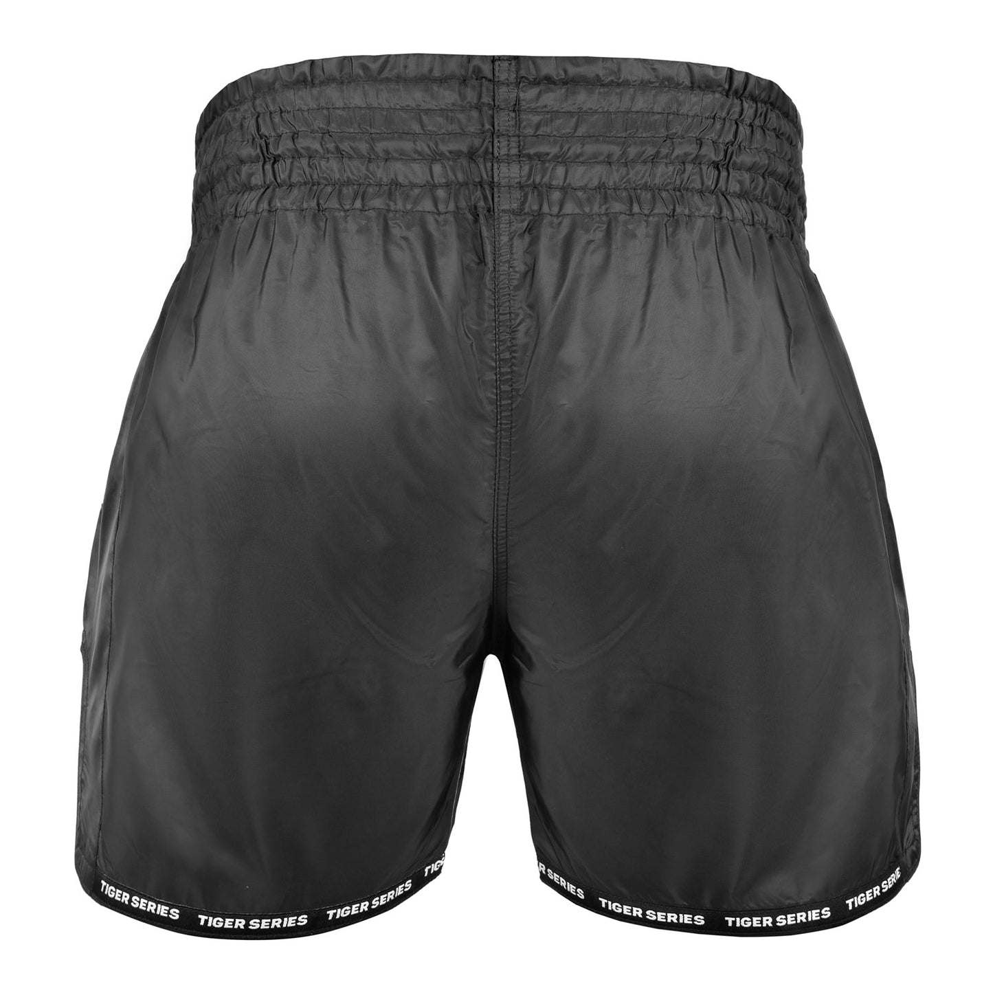 Dragon Thai Boxing Shorts Matt BLK image 7