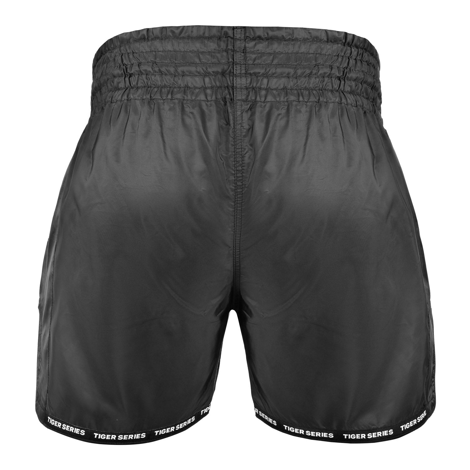 Dragon Thai Boxing Shorts Matt BLK image 7