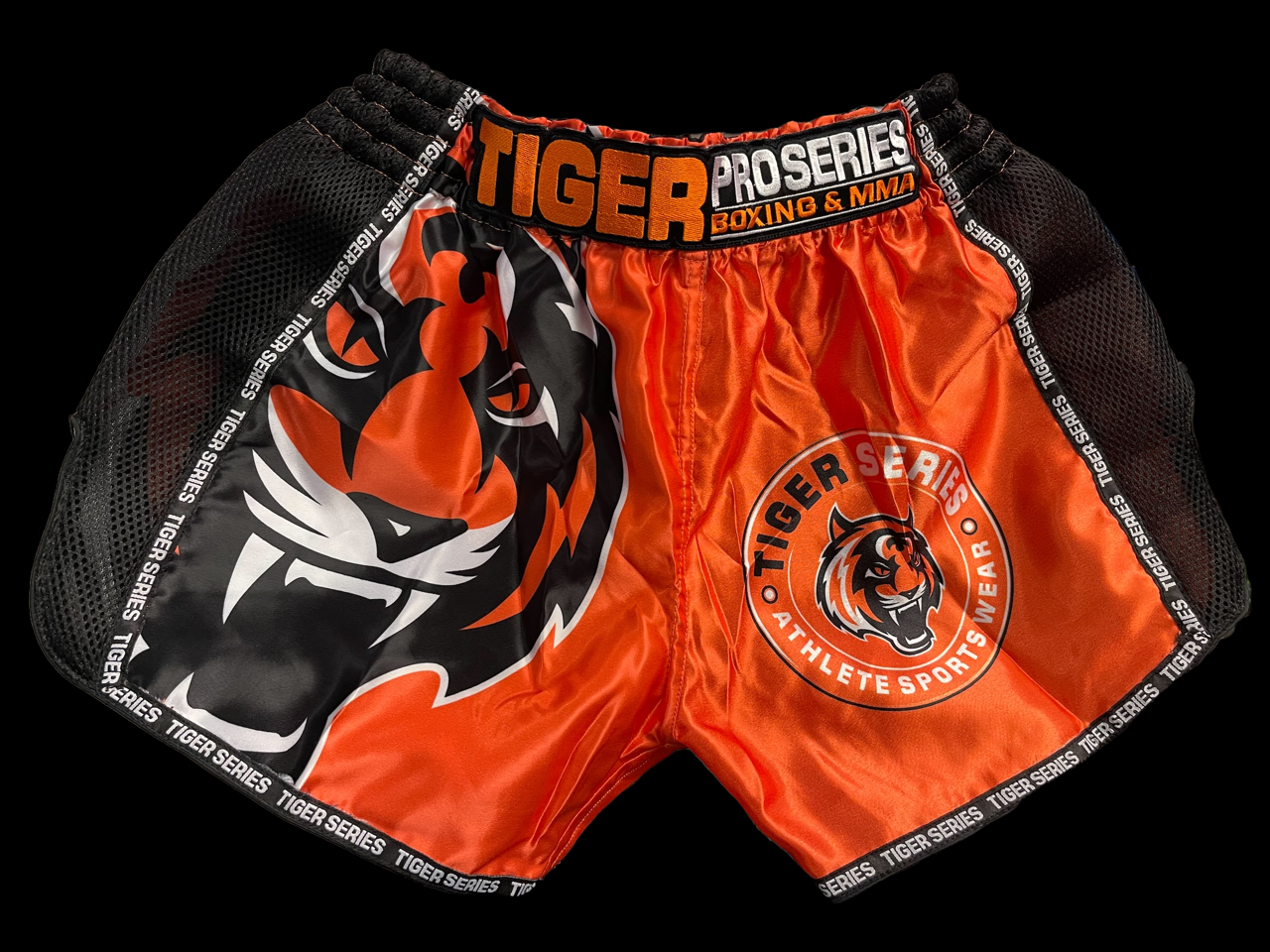 Thai Boxing Shorts image 0