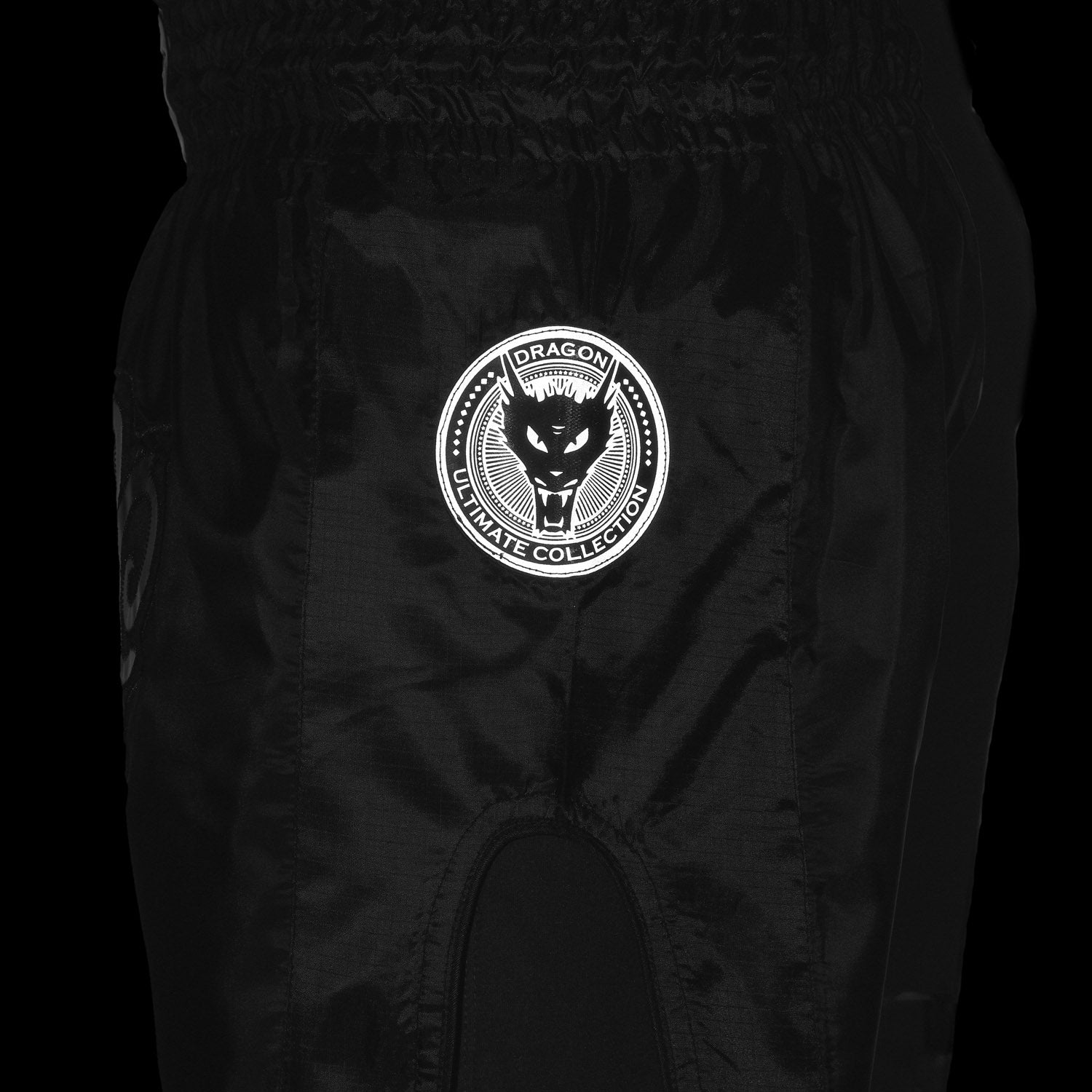 Dragon Thai Boxing Shorts Matt BLK image 6