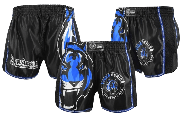 Thai Boxing Shorts image 4
