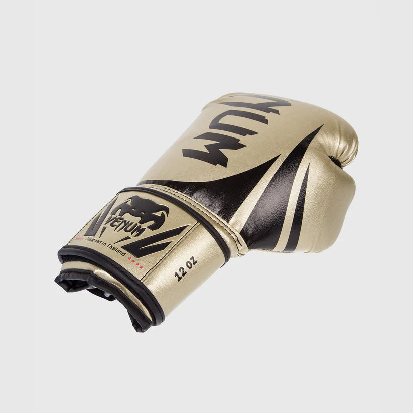 Gants de boxe Venum Challenger 2.0 - Noir/Noir 473 g