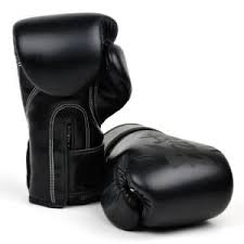 Fairtex Muay Thai Boxing Gloves for Men, Women Premium Quality, Light Weight & Shock Absorbent Boxing Gloves